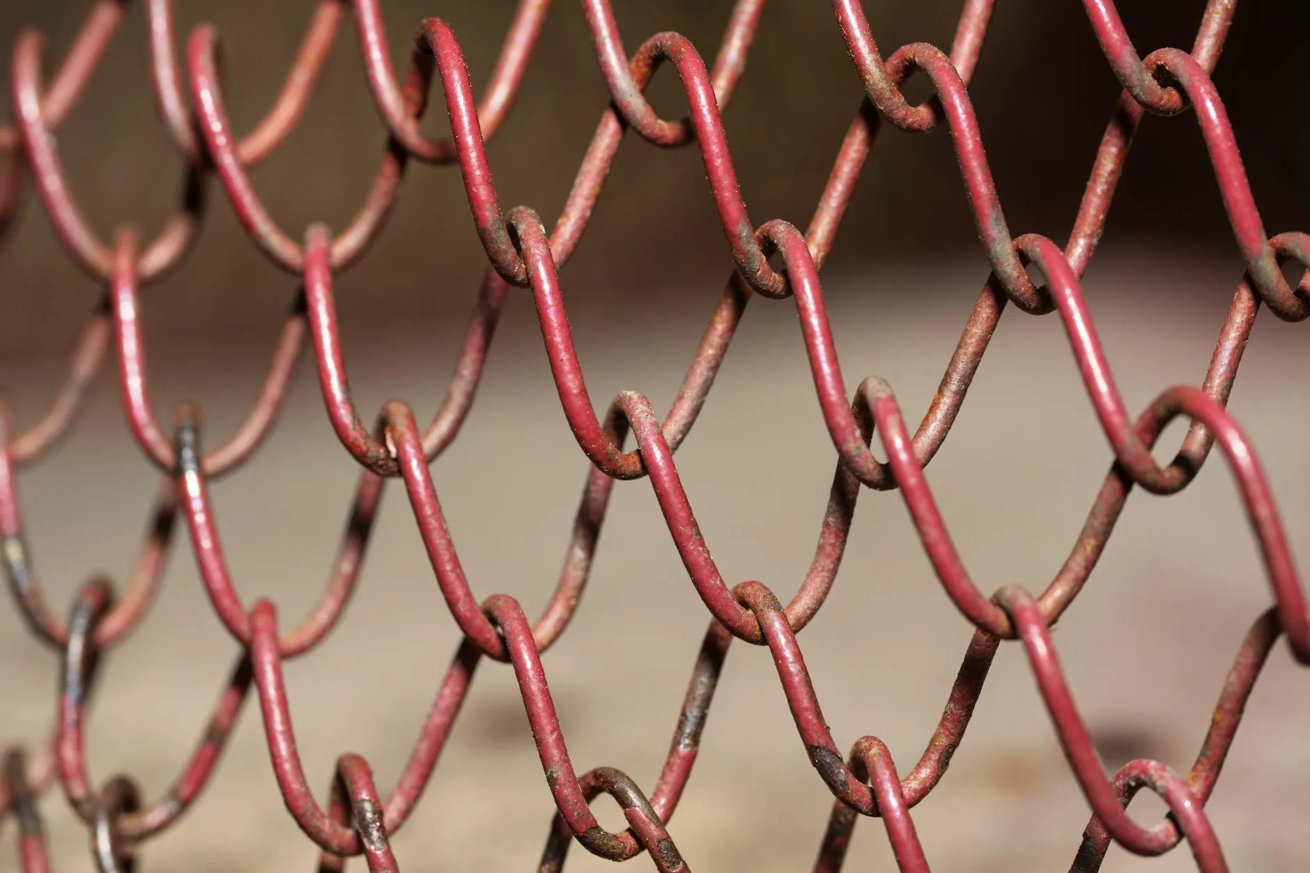 Estrategias de Link Building para Empresas en Colombia: Guía Completa 2026