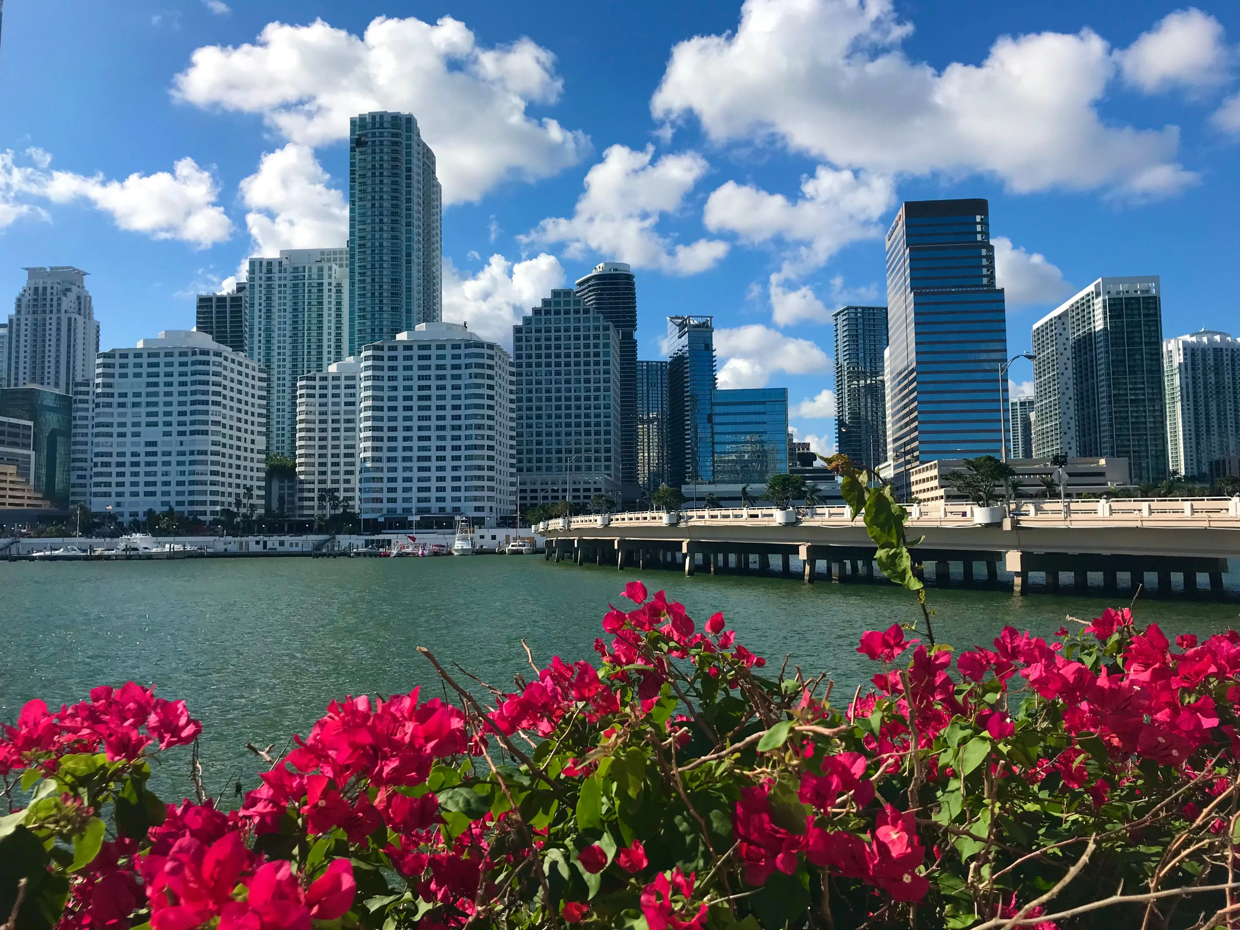Brickell, Miami — a competitive market where smart PPC management wins customers